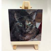 Cat Commission